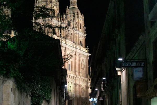 Sugerencias para tu viaje a Salamanca