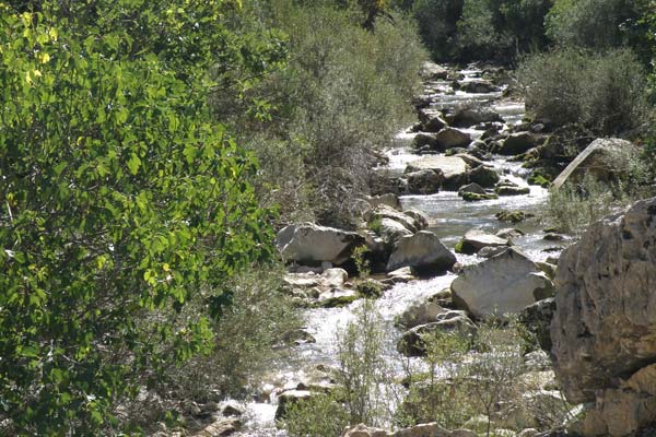 Imagen del Parque Natural a pocos metros de Arroyo Frío