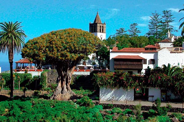 Drago milenario en Icod de los Vinos, uno de los lugares más recomendados para un paseo en pareja de Tenerife