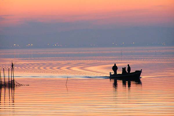 Un paseo en barca al anochecer en la Albufera