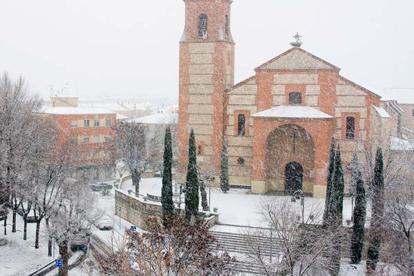 Imagen de Pinto durante el invierno